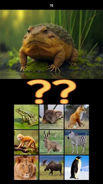 Hybrid Animals Crazy Lab Quiz (Хибридные животные Сумасшедшая лаборатория Викторина) МОД/Взлом [Все открыто, Дополнительные деньги и Меню MOD] Screenshot 4