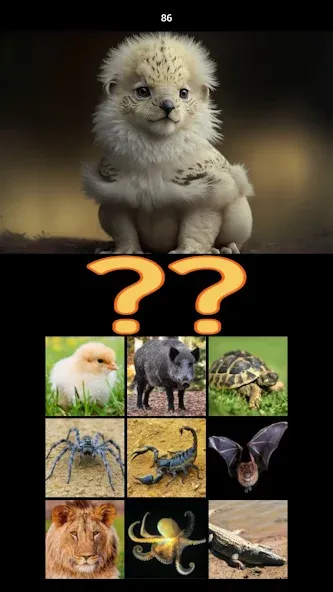 Hybrid Animals Crazy Lab Quiz (Хибридные животные Сумасшедшая лаборатория Викторина) МОД/Взлом [Все открыто, Дополнительные деньги и Меню MOD] Screenshot 5