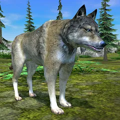 Скачать Wolf Simulator - Animal Games Мод много денег на Андроид бесплатно