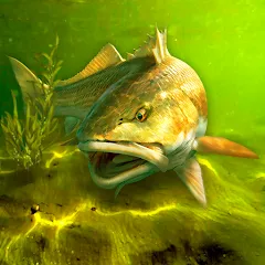 Скачать Взломанная My Fishing World (Много денег) на Андроид