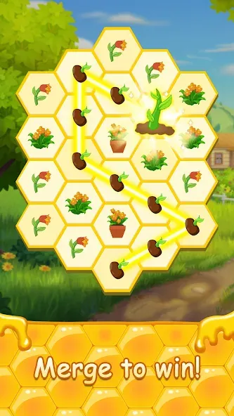 Honey Bottles - merge puzzle (Хани Ботлс) МОД/Взлом [Много денег, Монет и Все открыто] Screenshot 2