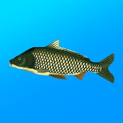 Скачать True Fishing. Simulator Взлом (Много денег) на Android бесплатно