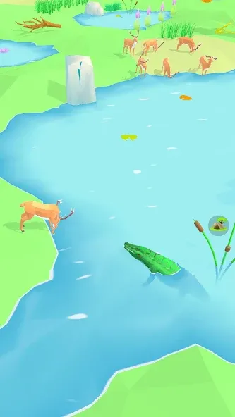 Animal Wildlife (Энимал Вайлдлайф) МОД/Взлом [Много денег, Монет и Все открыто] Screenshot 5