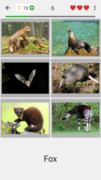 Animals Quiz Learn All Mammals МОД/Взлом [Много денег, Монет и Все открыто] Screenshot 2