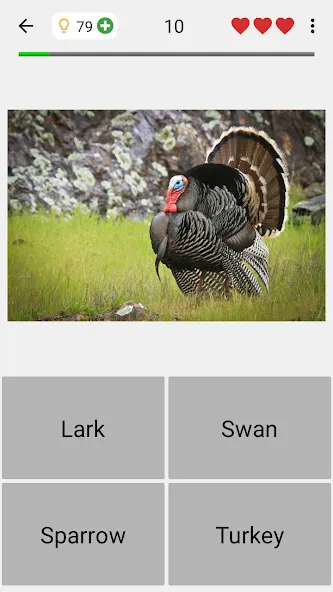 Animals Quiz Learn All Mammals МОД/Взлом [Много денег, Монет и Все открыто] Screenshot 4
