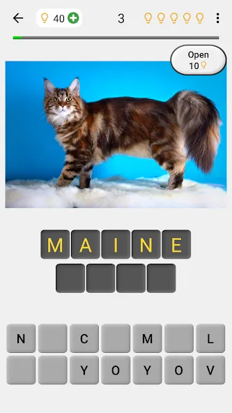 Cats Quiz Guess Popular Breeds МОД/Взлом [Много денег, Монет и Все открыто] Screenshot 1
