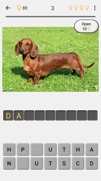 Dogs Quiz - Guess All Breeds! МОД/Взлом [Все открыто, Дополнительные деньги и Меню MOD] Screenshot 2