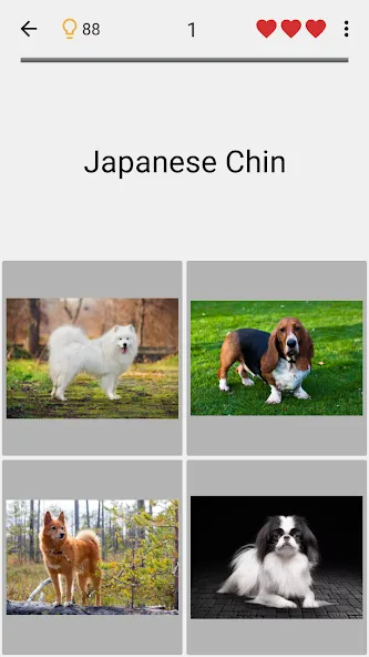 Dogs Quiz - Guess All Breeds! МОД/Взлом [Все открыто, Дополнительные деньги и Меню MOD] Screenshot 4