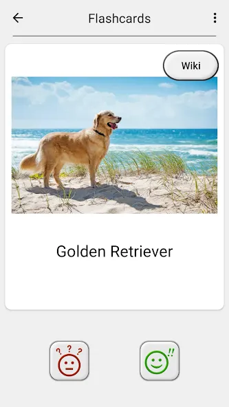 Dogs Quiz - Guess All Breeds! МОД/Взлом [Все открыто, Дополнительные деньги и Меню MOD] Screenshot 5