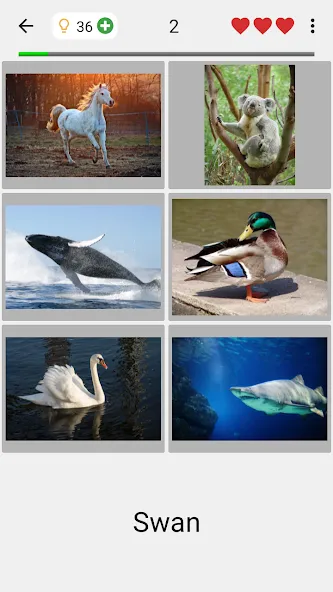 Guess Pictures and Words Quiz МОД/Взлом [Все открыто, Дополнительные деньги и Меню MOD] Screenshot 2