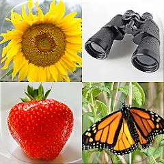 Скачать Guess Pictures and Words Quiz Взлом (Все уровни разблокированы) на Андроид