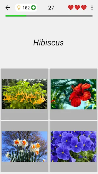 Flowers Quiz - Identify Plants МОД/Взлом [Меню, Бесконечные монеты и Открытые уровни] Screenshot 4