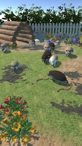 Hedgehog Friends (Хеджхог Френдс) МОД/Взлом [Много монет, Открытые уровни и Мега MOD] Screenshot 2
