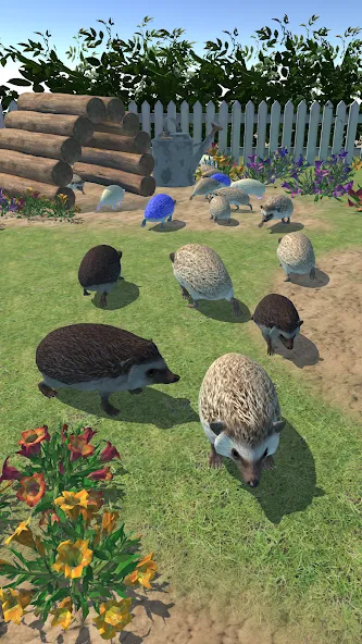 Hedgehog Friends (Хеджхог Френдс) МОД/Взлом [Много монет, Открытые уровни и Мега MOD] Screenshot 3