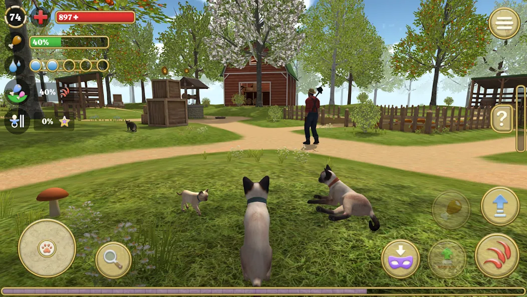 Cat Simulator : Kitties Family МОД/Взлом [Бесконечные деньги, Монеты и Мега MOD] Screenshot 1