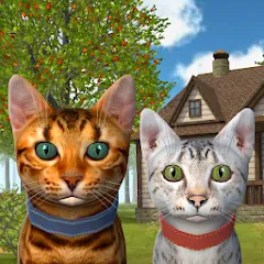 Скачать Cat Simulator : Kitties Family Взлом (Много денег) на Андроид бесплатно