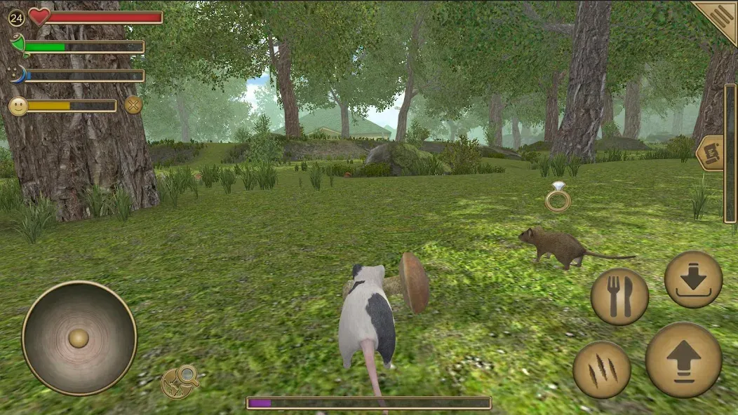 Mouse Simulator :  Forest Home МОД/Взлом [Много монет, Открытые уровни и Мега MOD] Screenshot 1