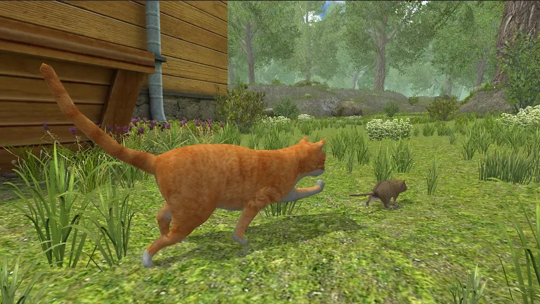 Mouse Simulator :  Forest Home МОД/Взлом [Много монет, Открытые уровни и Мега MOD] Screenshot 3