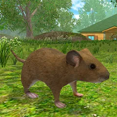 Скачать Mouse Simulator : Forest Home Взлом (Много денег) на Андроид бесплатно