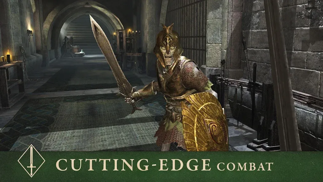 The Elder Scrolls: Blades (Зе Элдер Скроллс) МОД/Взлом [Меню, Бесконечные монеты и Открытые уровни] Screenshot 5