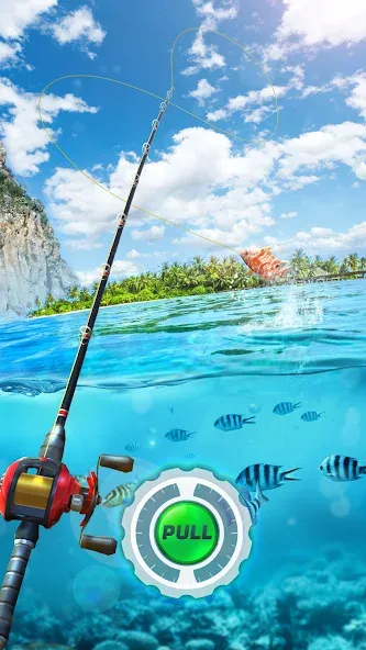 Fishing Rival 3D (Фишинг Ривал 3Д) МОД/Взлом [Деньги, Монеты и Меню MOD] Screenshot 1