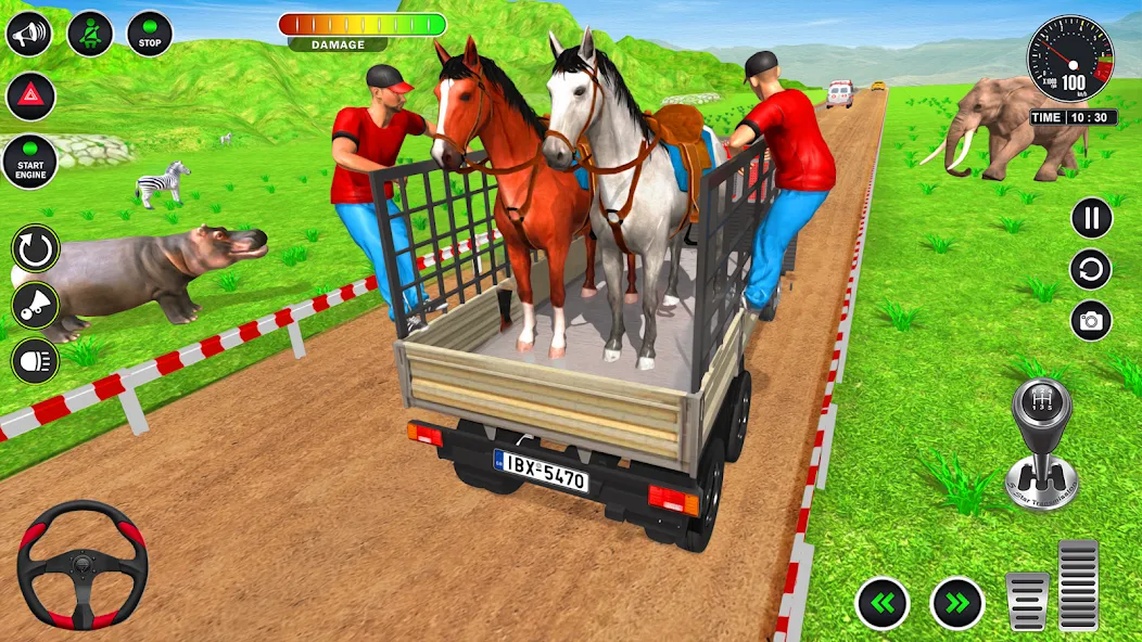 Animal Transport Truck Game 3D (Игра Грузовик для перевозки животных) МОД/Взлом [Много денег, Монет и Все открыто] Screenshot 4