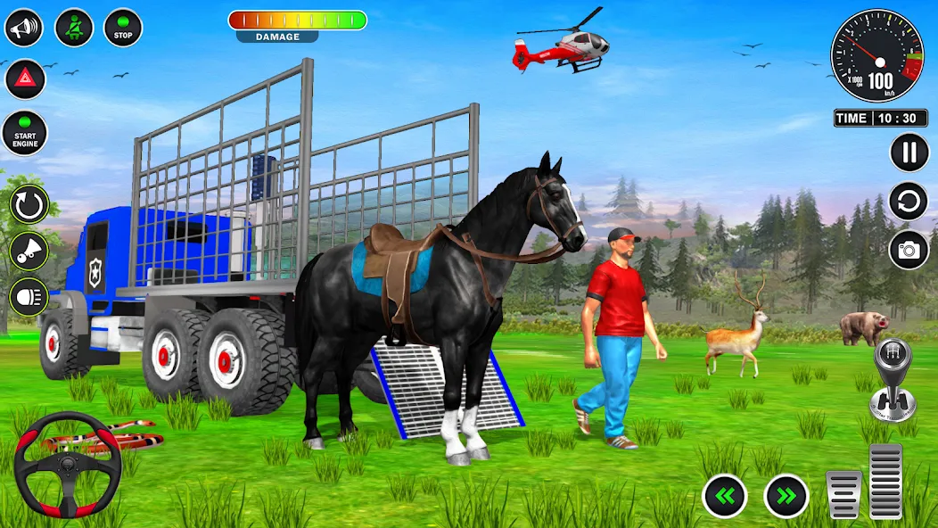 Animal Transport Truck Game 3D (Игра Грузовик для перевозки животных) МОД/Взлом [Много денег, Монет и Все открыто] Screenshot 5