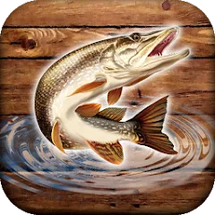 Скачать Fish rain: sport fishing Взлом (Много денег) на Андроид бесплатно