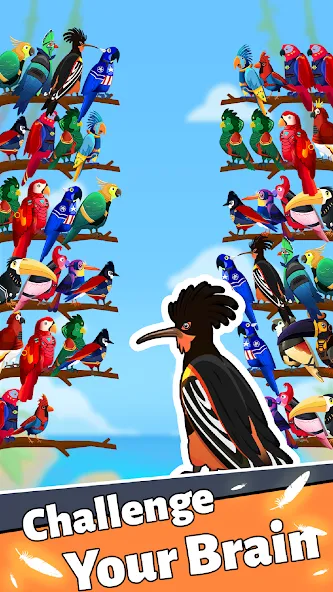 Bird Puzzle - Color Game МОД/Взлом [Меню, Бесконечные монеты и Открытые уровни] Screenshot 2