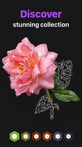 Polygon - Art Coloring Book (Полигон) МОД/Взлом [Бесконечные деньги, Монеты и Мега MOD] Screenshot 2