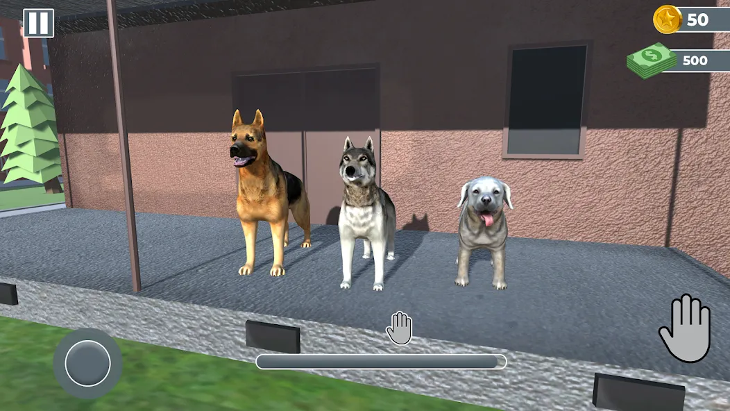 Animal Shelter: Pet Rescue 3D МОД/Взлом [Много денег, Монет и Все открыто] Screenshot 3