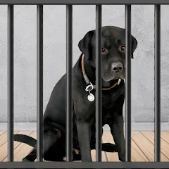 Скачать Взломанная Animal Shelter: Pet Rescue 3D (Много денег) на Android бесплатно