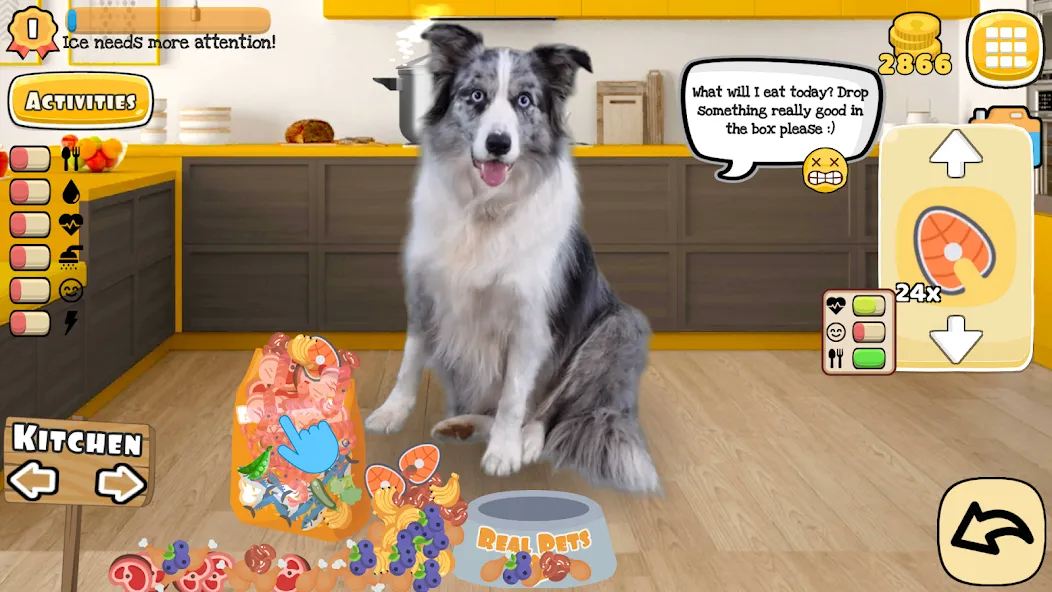 Adopt a pet : Corgi Games (Риал Петс бай Фруви) МОД/Взлом [Деньги, Монеты и Меню MOD] Screenshot 1