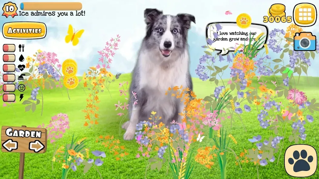 Adopt a pet : Corgi Games (Риал Петс бай Фруви) МОД/Взлом [Деньги, Монеты и Меню MOD] Screenshot 4