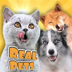 Скачать Взломанная Adopt a pet : Corgi Games на Андроид (Много денег)