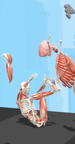 Human Run (Хуман Ран) МОД/Взлом [Деньги, Монеты и Меню MOD] Screenshot 2