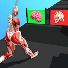 Скачать Human Run Взлом (Много денег) на Андроид бесплатно