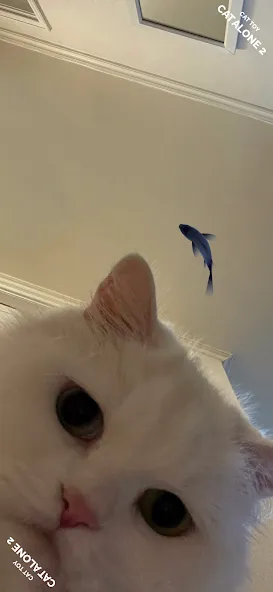 CAT ALONE 2 - Cat Toy (САТ АЛОНЕ 2) МОД/Взлом [Меню, Бесконечные монеты и Открытые уровни] Screenshot 2