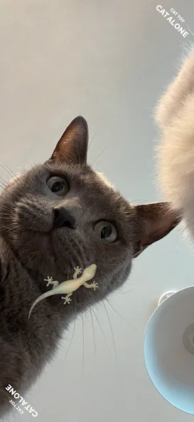 CAT ALONE - Cat Toy (САТ ЭЛОУН) МОД/Взлом [Много монет, Открытые уровни и Мега MOD] Screenshot 1