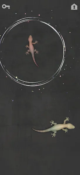 CAT ALONE - Cat Toy (САТ ЭЛОУН) МОД/Взлом [Много монет, Открытые уровни и Мега MOD] Screenshot 3