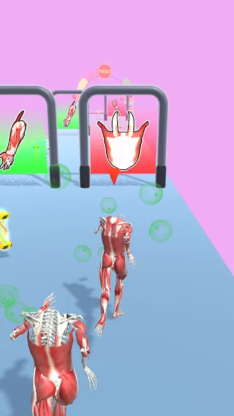 Human Evolution Run МОД/Взлом [Бесконечные деньги, Монеты и Мега MOD] Screenshot 1