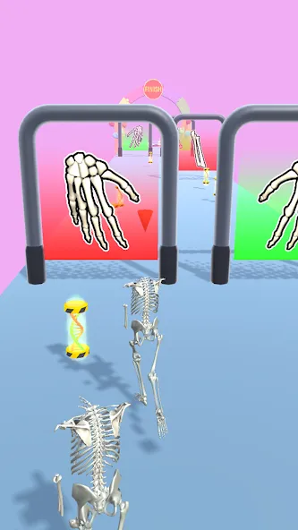 Human Evolution Run МОД/Взлом [Бесконечные деньги, Монеты и Мега MOD] Screenshot 2