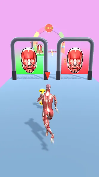 Human Evolution Run МОД/Взлом [Бесконечные деньги, Монеты и Мега MOD] Screenshot 5