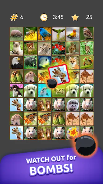 Onnect - Pair Matching Puzzle (Оннект) МОД/Взлом [Много денег, Монет и Все открыто] Screenshot 5