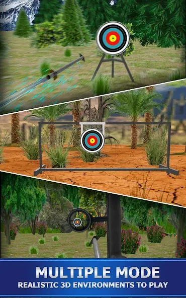 Archery Shoot МОД/Взлом [Много монет, Открытые уровни и Мега MOD] Screenshot 1