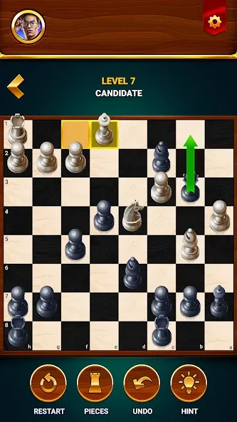 Chess - Offline Board Game МОД/Взлом [Много монет, Открытые уровни и Мега MOD] Screenshot 5