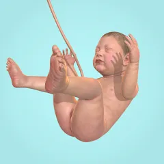Скачать Idle 9 Months взлом на много денег и без рекламы на андроид бесплатно