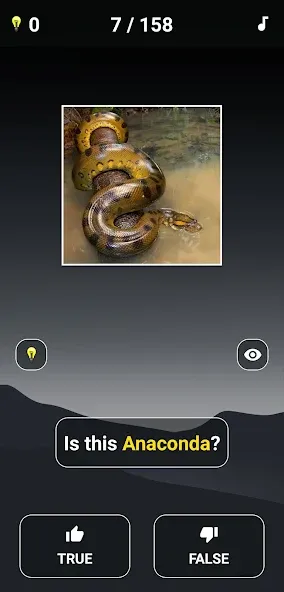 Animal Quiz: Guess the Animal МОД/Взлом [Много денег, Монет и Все открыто] Screenshot 3