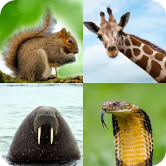 Скачать Взломанная Animal Quiz: Guess the Animal на Андроид (Все подсказки и уровни разблокированы)