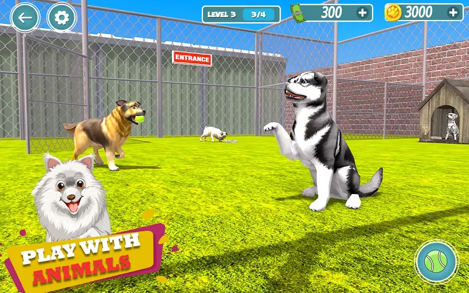My Pet Animal Shelter World МОД/Взлом [Много монет, Открытые уровни и Мега MOD] Screenshot 5